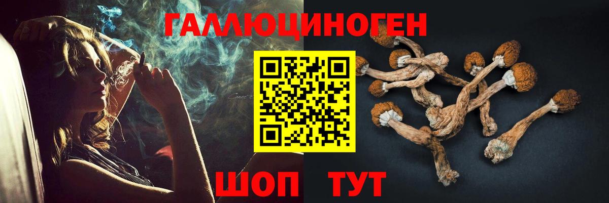 Псилоцибиновые грибы мицелий  Вход с VPN  Дедовск 